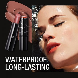 Long Lasting Private Label Lipstick